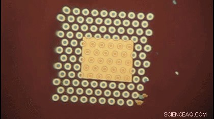 Unexpected Exhale Leads to Breakthrough in DNA Detection Technology