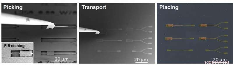 UNIST Scientists Pioneer Silicon‑Based Quantum Photonic Devices