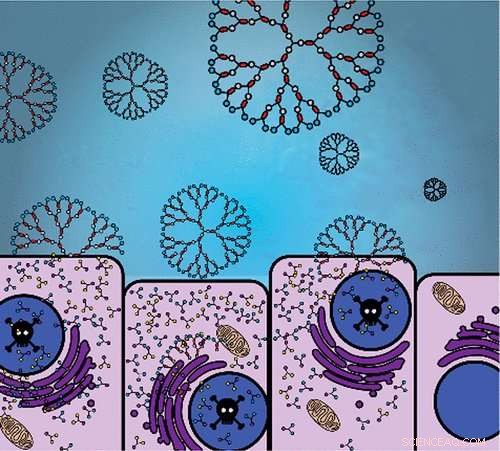 Study Finds Precision Nanomaterials Can Target and Kill Cancer Cells Selectively