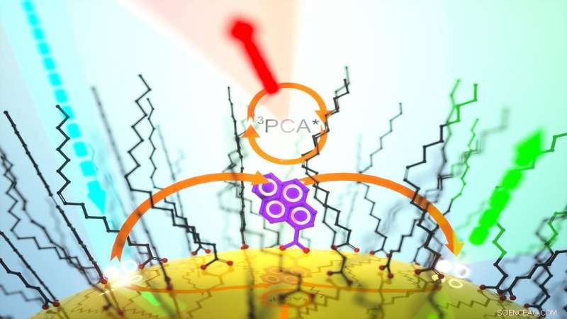 Enhanced Photoluminescence in Semiconductor Nanocrystals via Thermally Activated Delayed Emission