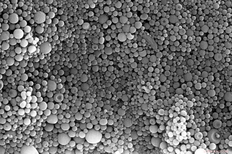 Scientists Advance Nanovaccine Technology to Protect Against Flu