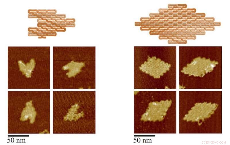 DNA Origami: Spaghetti‑Like Nanostructures Shape the Future of Nanotechnology