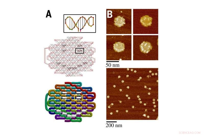 DNA Origami: Spaghetti‑Like Nanostructures Shape the Future of Nanotechnology
