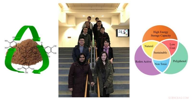 Eco-Friendly Batteries: Harnessing Tree Bark Tannins for Cost-Effective Energy Storage