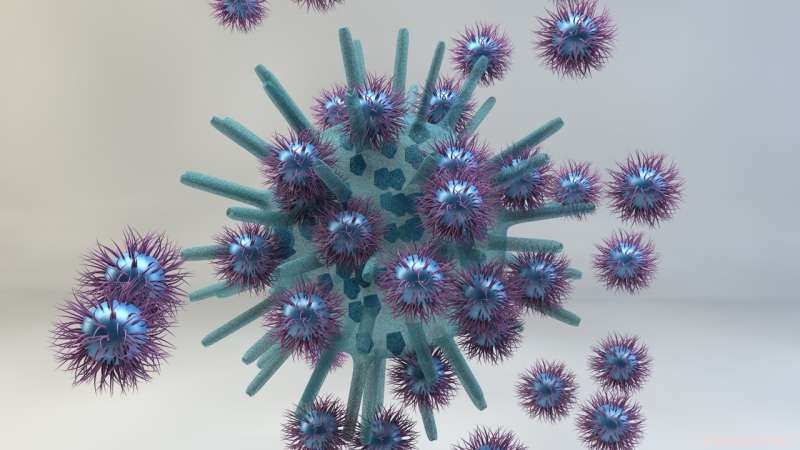 Engineered Nanoparticles Effectively Target and Neutralize Multiple Viruses