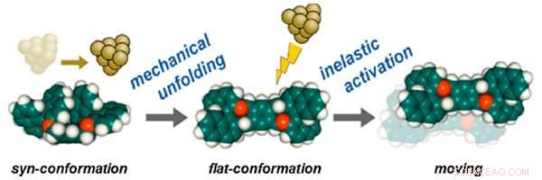 Manipulating Soft Molecular Vehicles on Metal Surfaces with Scanning Tunneling Microscopy