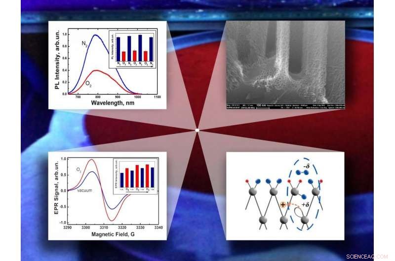 Advanced Gas Sensors Using Porous Silicon Nanowires