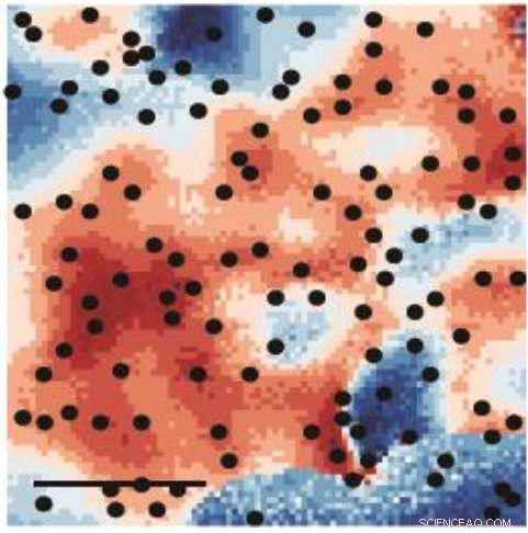 High-Performance 3D Graphene: Unlocking Trisodium Bismuthide’s Potential