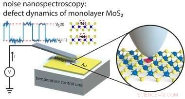 How Defects Shape the Properties of MoS₂: Insights from Low‑Frequency Noise and C‑AFM Studies