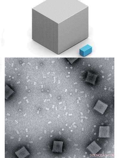 Harnessing DNA Bricks: Building 3‑D Nanostructures from 10,000 Unique Components