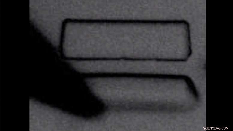 Cornell Physicists Pioneer Cell‑Sized Robots, Advancing Microrobotics