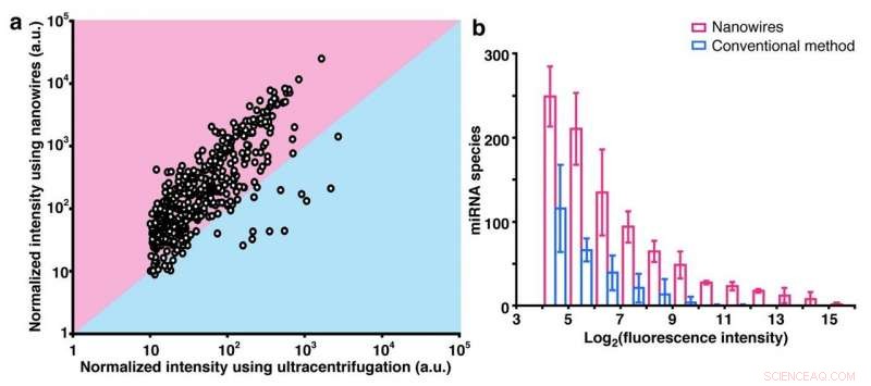Nanowire Urine Test Enables Rapid, Non‑Invasive Cancer Detection