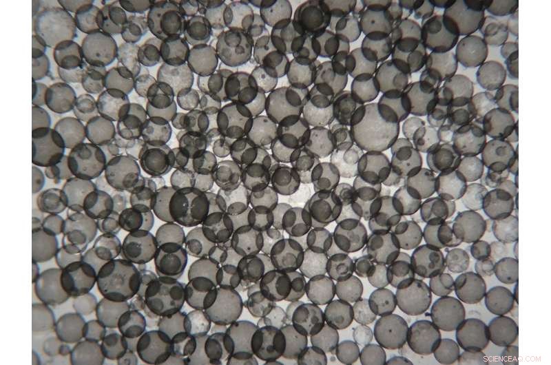 Physicists unveil breakthrough wearable health monitor tech that could save lives