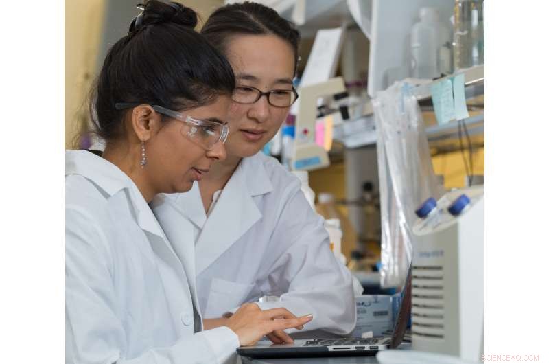 Researchers Engineer Virus Nanoparticles to Target Peptide Drugs to Cells and Tissues