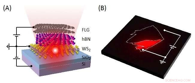 Cutting‑Edge Ultra‑Thin 2D‑Semiconductor LEDs for Efficient, Flexible Lighting