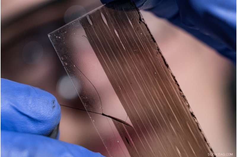 Rice University Team Cuts Nanotube Production Time with Handcrafted Short Samples