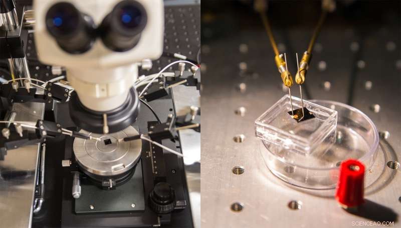 Revolutionizing IoT: How Next-Gen Memristors Enable Smart Connectivity