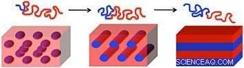 Unveiling Self-Assembly: How Materials Form Diverse Nanoscale Patterns