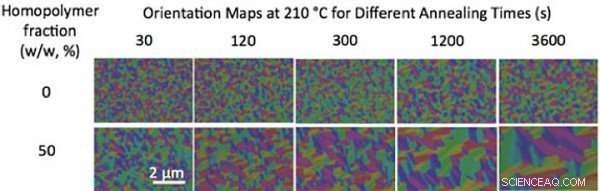 Unveiling Self-Assembly: How Materials Form Diverse Nanoscale Patterns