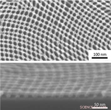 Unveiling Self-Assembly: How Materials Form Diverse Nanoscale Patterns