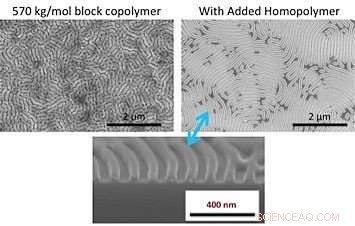 Unveiling Self-Assembly: How Materials Form Diverse Nanoscale Patterns
