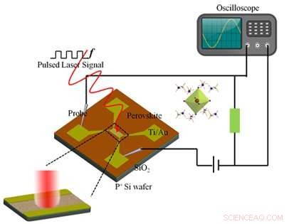 New Gas‑Solid Reaction Yields Fast, Stable Perovskite Photodetectors