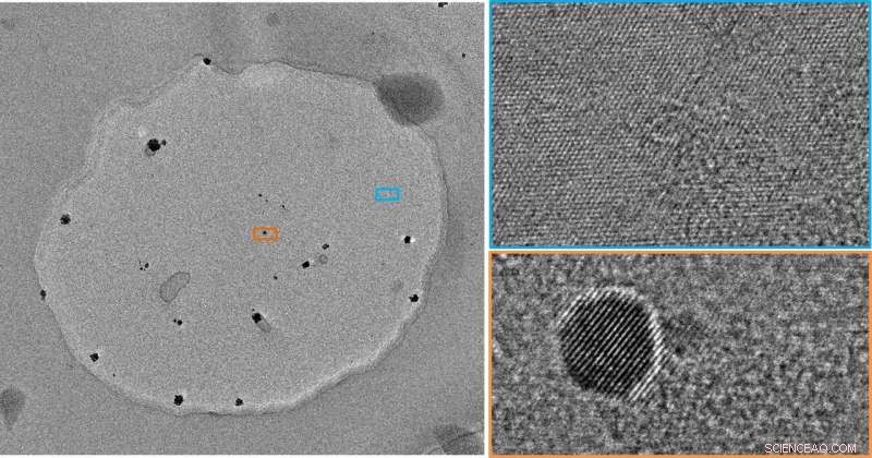 Researchers Accurately Measure Single Atoms Inside a Graphene Petri Dish