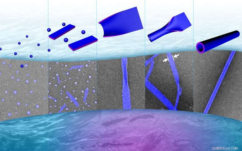 Biology‑Inspired Nanotubes Developed for Water Purification and Tissue Engineering