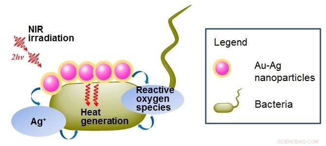 Advanced Metal Nanoparticles for Image-Guided Phototherapy