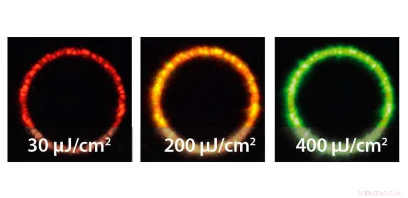 Quantum Dot Ring Lasers Produce Multi‑Color Light