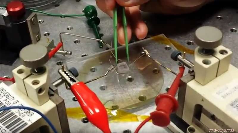 New Ultra-Thin, Transparent Touchscreen Pressure Sensors Unveiled by Researchers