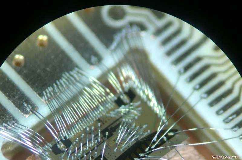 TU Delft Leads Breakthrough in Silicon Quantum Chip Development