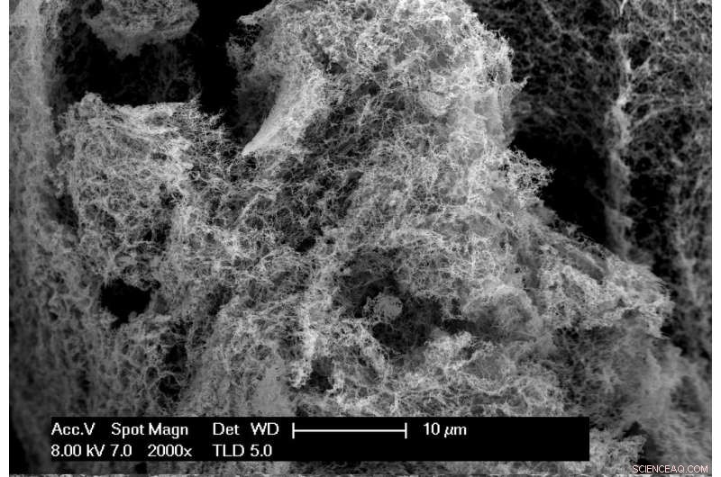 WSU Develops Efficient Nanofoam Catalysts for Large-Scale Hydrogen Production