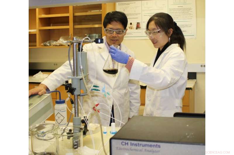 WSU Develops Efficient Nanofoam Catalysts for Large-Scale Hydrogen Production