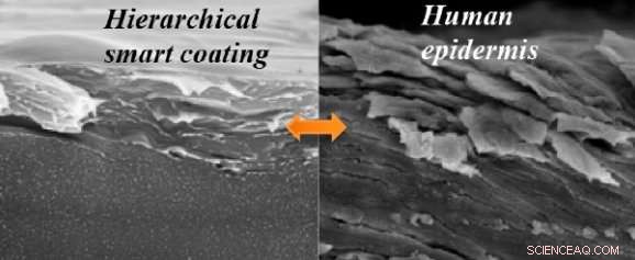 Skin-Inspired Coating Mimics Tooth Hardness and Self-Heals