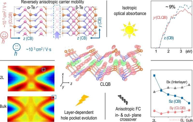 Few-Layer Tellurium: A Promising Alternative to Black Phosphorus
