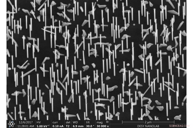 Scientists Capture Real-Time Growth of Nanowires Using Advanced Imaging
