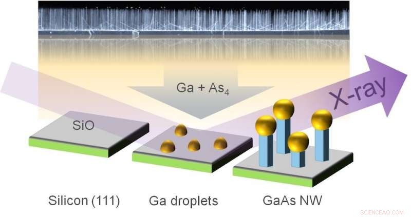Scientists Capture Real-Time Growth of Nanowires Using Advanced Imaging