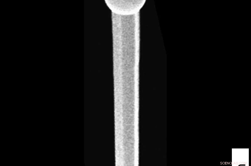 Scientists Capture Real-Time Growth of Nanowires Using Advanced Imaging