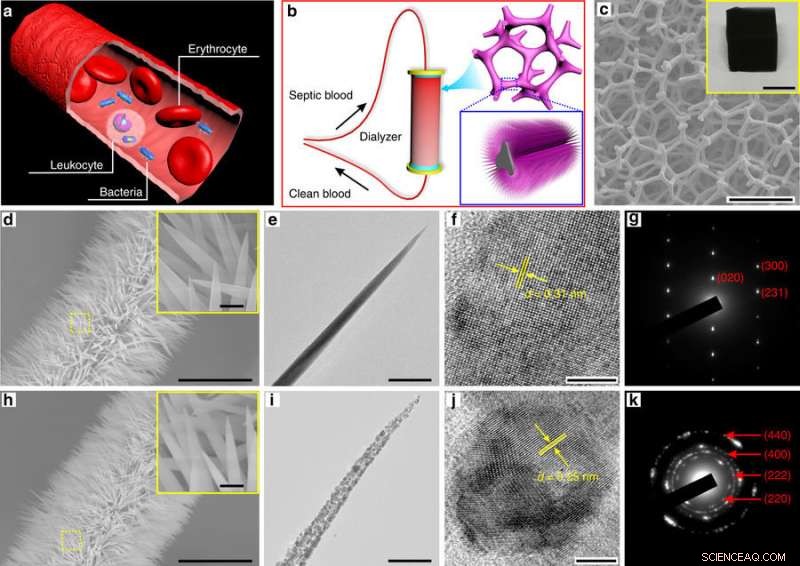 Claw‑Shaped Nanowires Effectively Filter Bacteria from Blood
