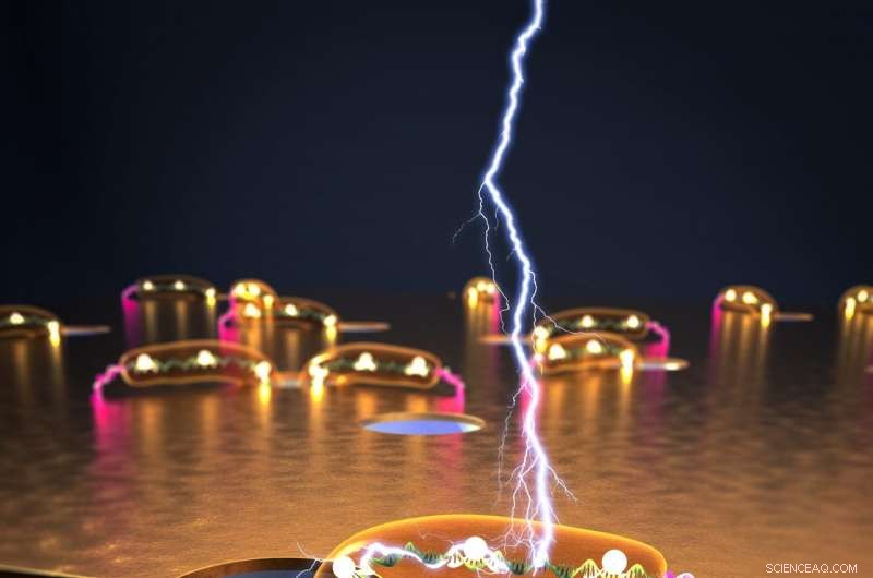 Breakthrough: DNA Wires Achieve 100× Sensitivity Over Conventional Biosensors