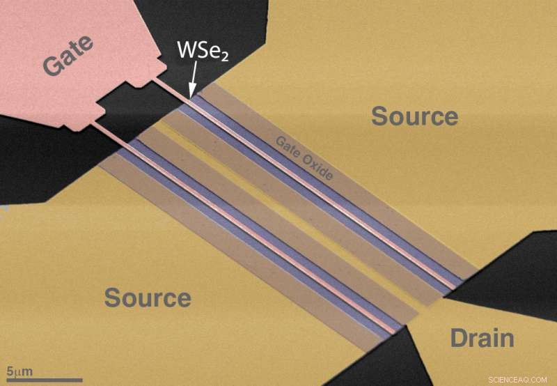 Scalable Two-Dimensional Materials Drive Next-Gen Electronics