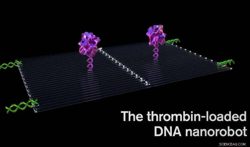 Nanorobots Target and Destroy Tumors: A Breakthrough in Cancer Treatment