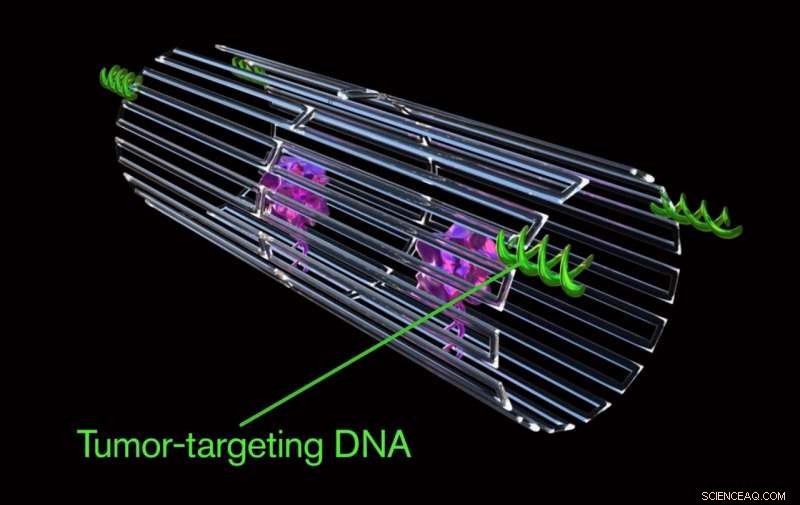 Nanorobots Target and Destroy Tumors: A Breakthrough in Cancer Treatment