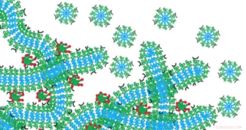 Injectable Self-Assembled Nanomaterials for Targeted, Sustained Drug Delivery