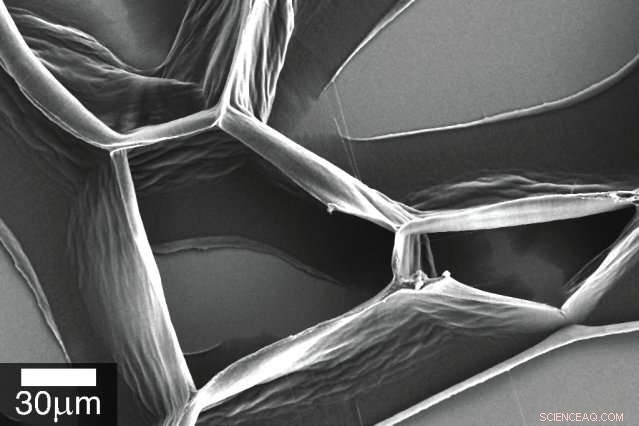 Researchers Generate Predictable Patterns from Unpredictable Carbon Nanotubes