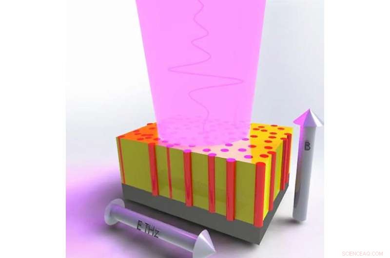 Perovskite Oxide Thin Films Enable Terahertz Data Writing for Next-Gen Electronics