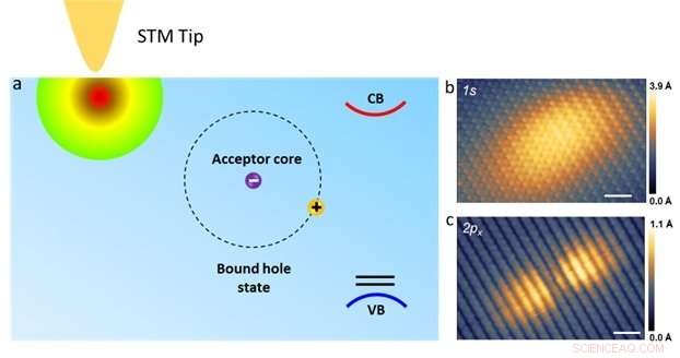 Revealing the Spatial Structure of Bound Hole States in Black Phosphorus