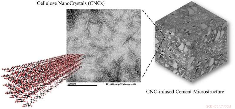 Purdue Study Demonstrates Wood-Derived Nanocrystals Significantly Strengthen Concrete