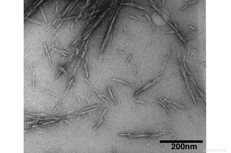 Purdue Study Demonstrates Wood-Derived Nanocrystals Significantly Strengthen Concrete